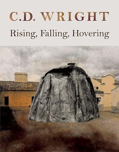 cover image  Rising, Falling, Hovering