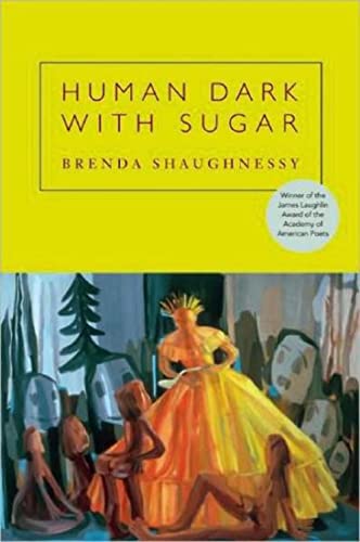 cover image Human Dark with Sugar