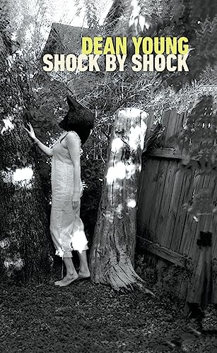 cover image Shock by Shock