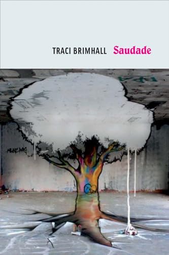 cover image Saudade