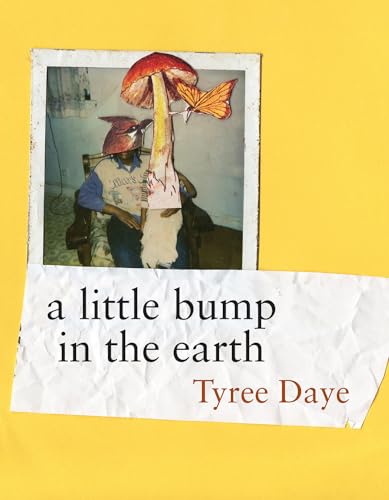 cover image a little bump in the earth