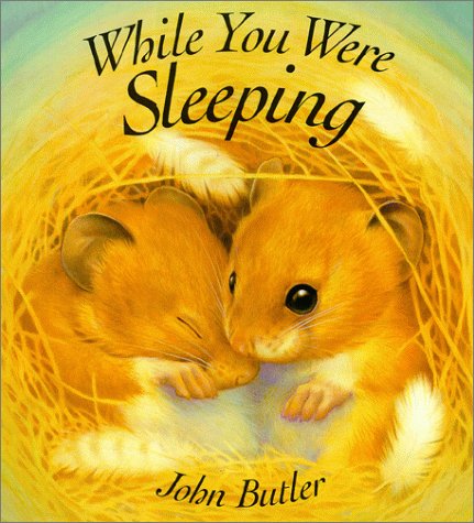 cover image While You Were Sleeping