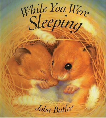 cover image While You Were Sleeping