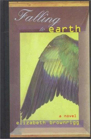 cover image Falling to Earth