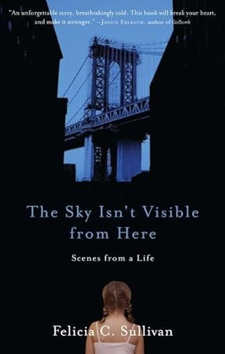 cover image The Sky Isn’t Visible from Here