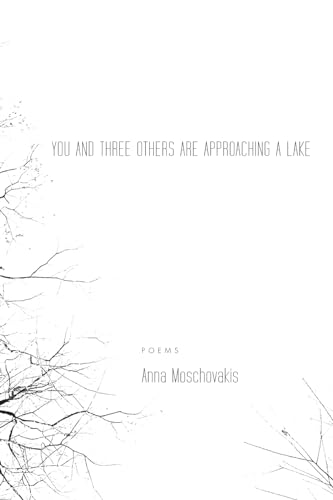 cover image You and Three Others Are Approaching a Lake