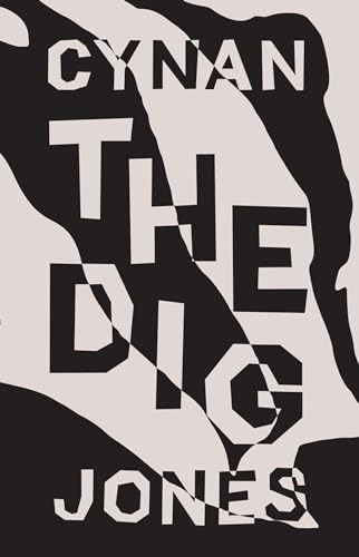 cover image The Dig