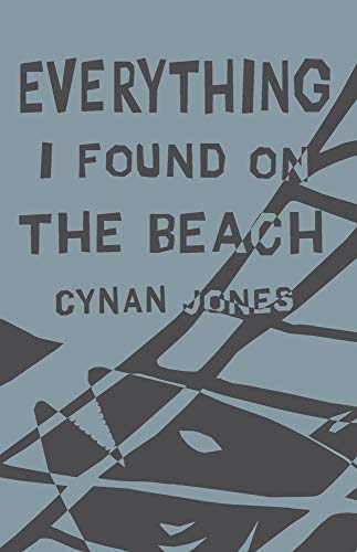 cover image Everything I Found on the Beach