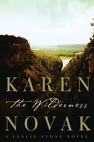 cover image THE WILDERNESS: A Leslie Stone Novel