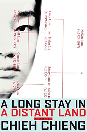 cover image A LONG STAY IN A DISTANT LAND