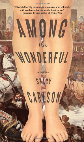 cover image Among the Wonderful