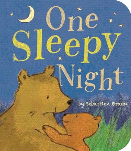 cover image One Sleepy Night