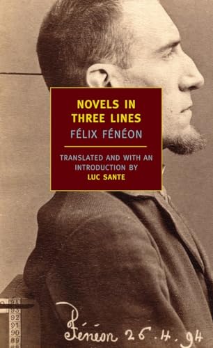 cover image Novels in Three Lines