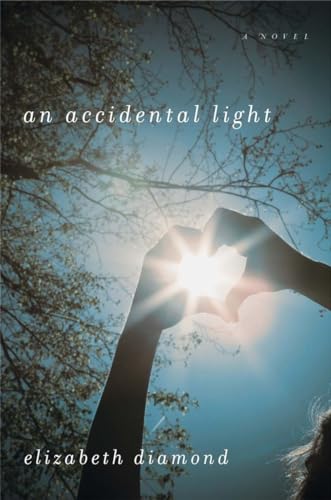 cover image An Accidental Light