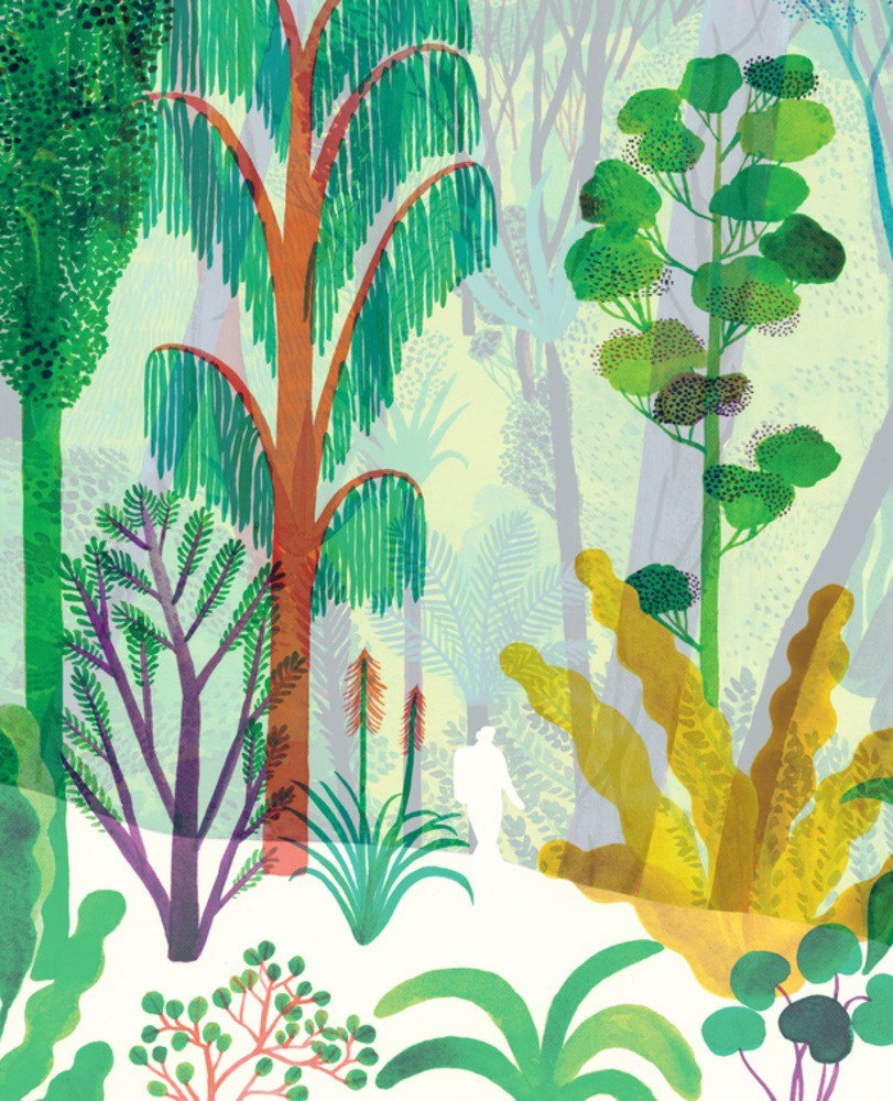 cover image The Forest