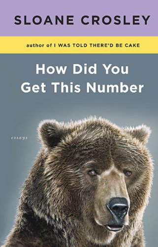 cover image How Did You Get This Number: Essays