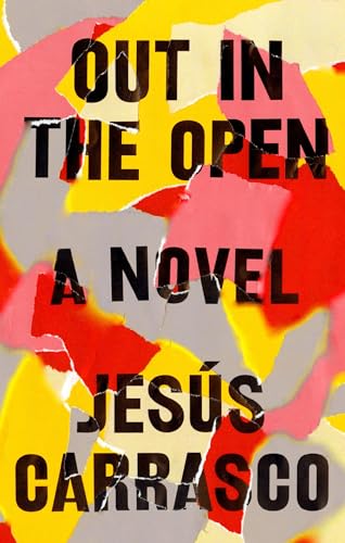 cover image Out in the Open