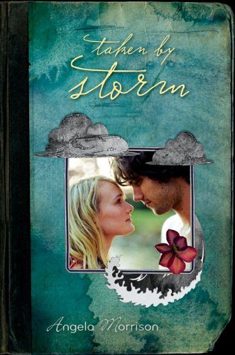 cover image Taken by Storm