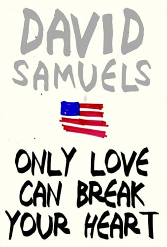 cover image Only Love Can Break Your Heart