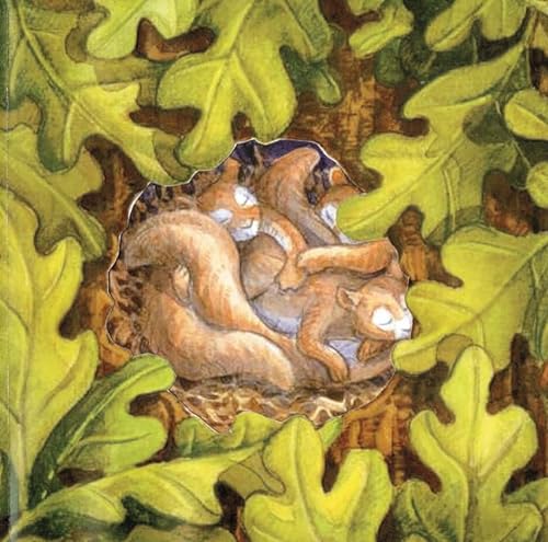 cover image Last Song