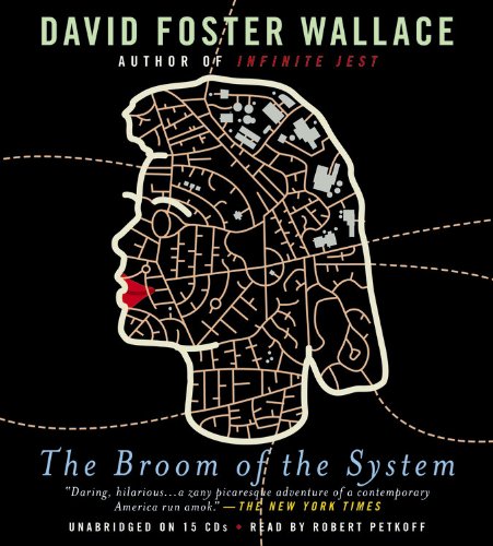 cover image The Broom of the System