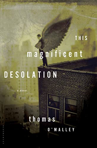 cover image This Magnificent Desolation