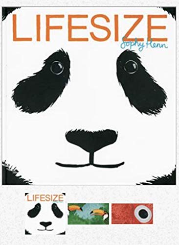 cover image Lifesize