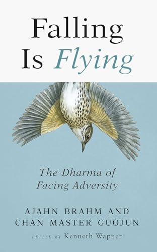 cover image Falling Is Flying