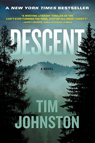 cover image Descent