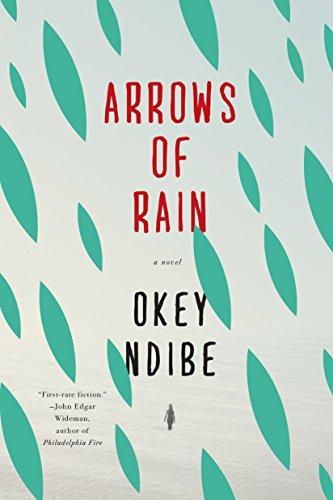 cover image Arrows of Rain