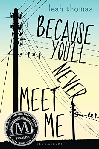 cover image Because You'll Never Meet Me