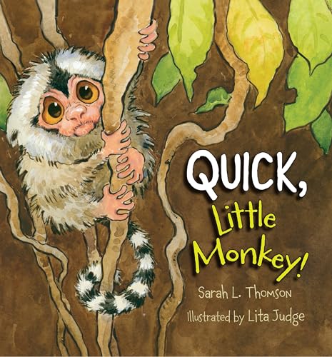 cover image Quick, Little Monkey!