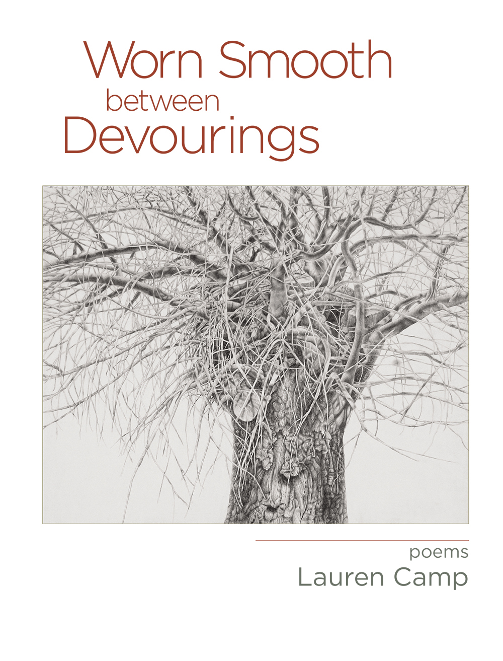 cover image Worn Smooth Between Devourings