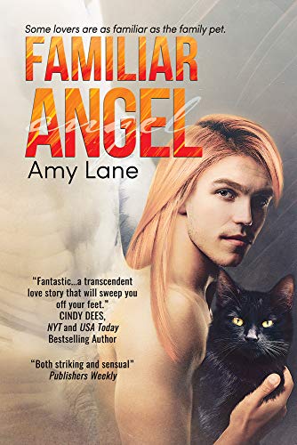 cover image Familiar Angel