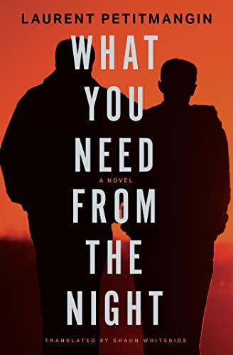 cover image What You Need from the Night