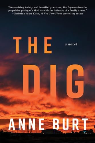 cover image The Dig