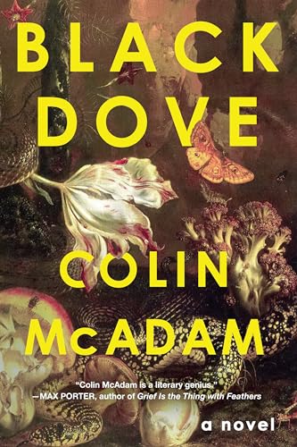 cover image Black Dove