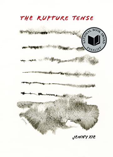 cover image The Rupture Tense