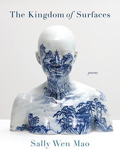 cover image The Kingdom of Surfaces 