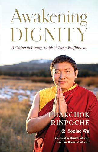 cover image Awakening Dignity: A Guide to Living a Life of Deep Fulfillment