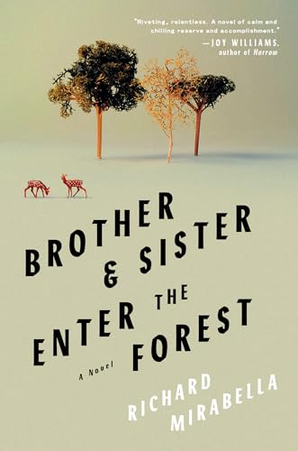 cover image Brother & Sister Enter the Forest
