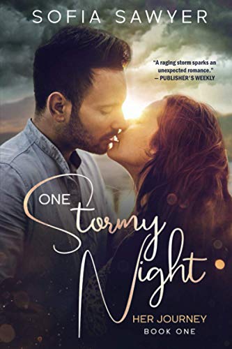 cover image One Stormy Night
