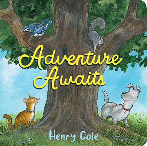 cover image Adventure Awaits