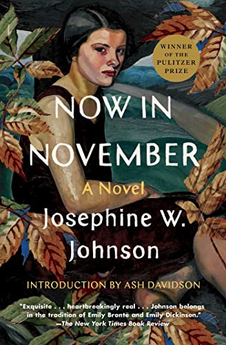 cover image Now in November