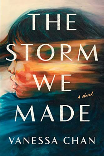 cover image The Storm We Made