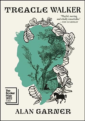 cover image Treacle Walker