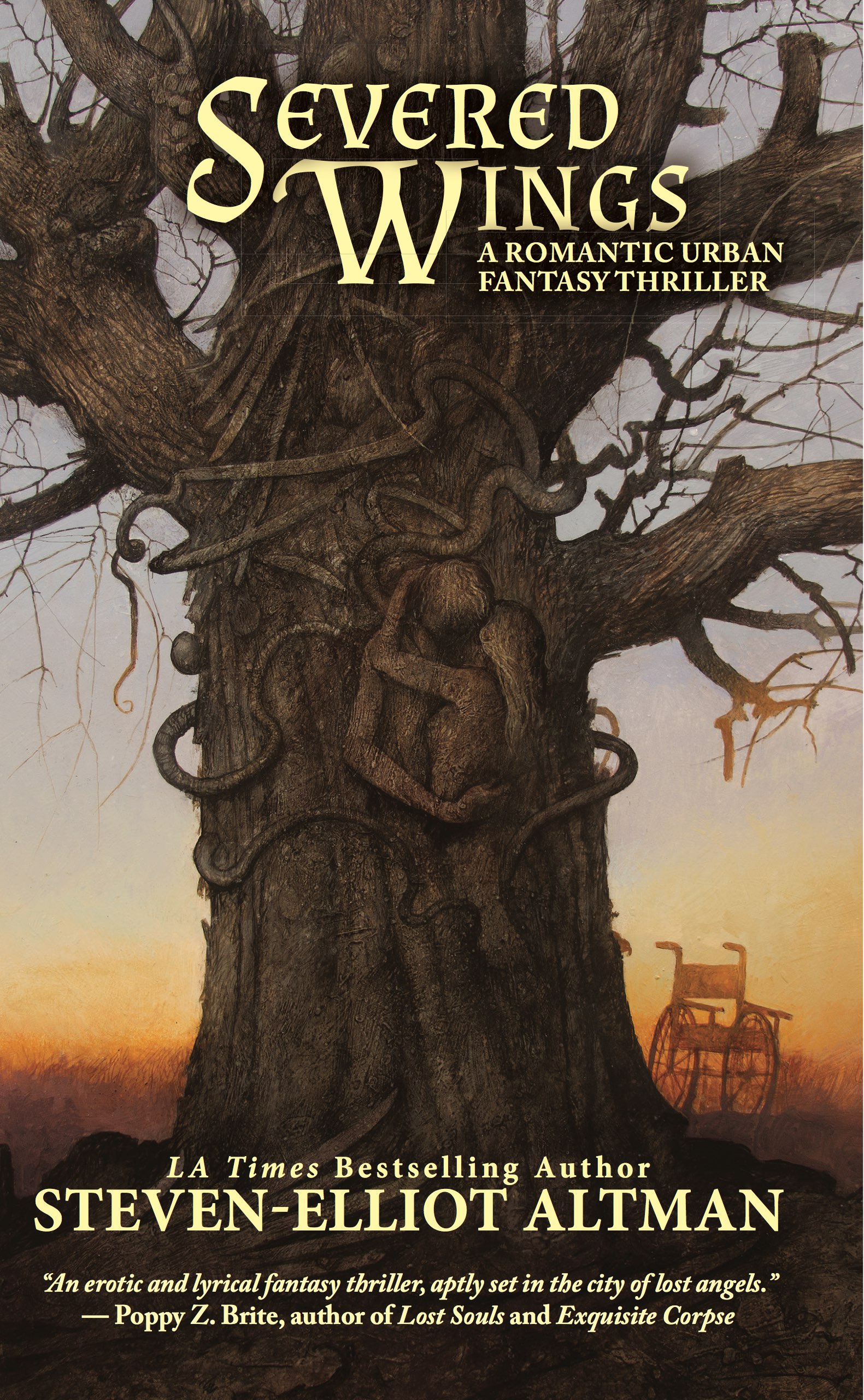 cover image Severed Wings