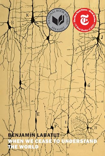 cover image When We Cease to Understand The World