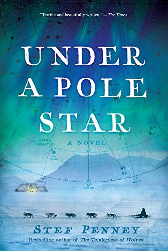 cover image Under a Pole Star