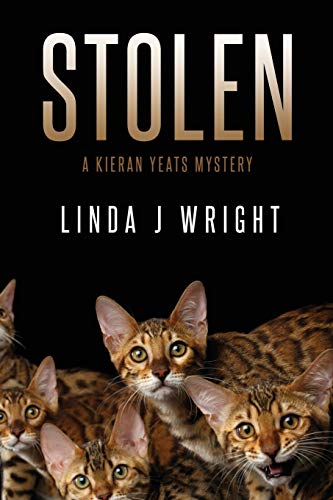 cover image Stolen: A Kieran Yeats Mystery